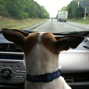 Meet your Posher, Brenda